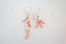 画像4: 14KGF coral pearlpierce   (4)